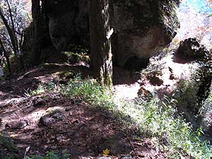 �R����Ƃ̕���