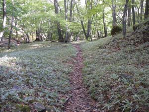 �܂Ƃ��ɕ������E�E�E�E