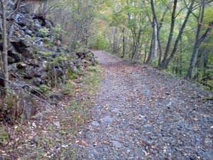 �������̗ѓ�