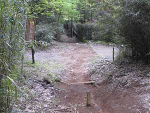 ���}�Ȕ�����