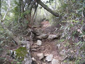 ���̕ӂ�̓o�R���B