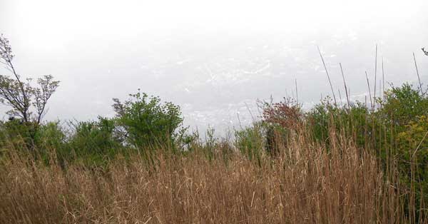 登山道中からの眺め。