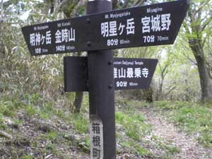 ���_���x 10���̕W��