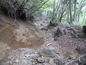 ���򂩂�̓o�R���B