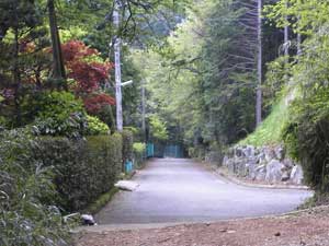 �ʑ��n�̃A�X�t�@���g�̓�