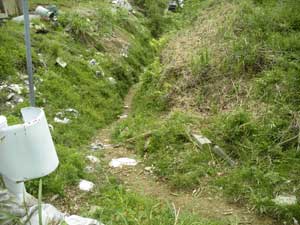 �o�R������̓�