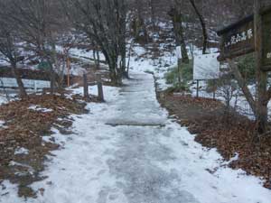 �o�R������̓o�R��