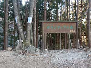 �{�����e�B�A�̐X