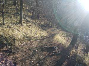 �o�R������̓�