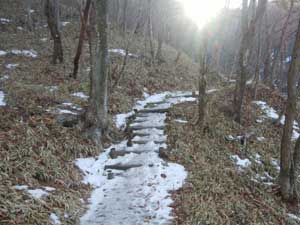 �o�R������̓�