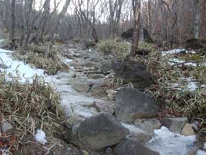 �o�R������̓�