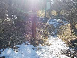 �r�R����