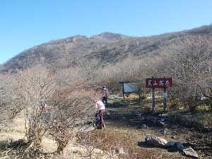 �r�R����