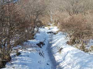 �r�R��������̓o�R���B