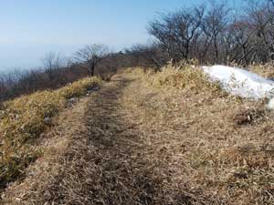 �΋N�R����̓o�R���B