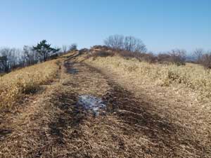 �΋N�R����̓o�R���B