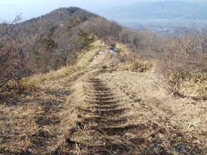 ���R����̓o�R���B