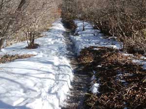 �犄�R����̓o�R���B