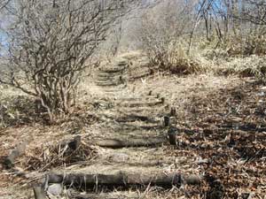 �犄�R����̓o�R���B