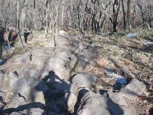 �r�R��������̓o�R���B