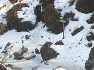 �r�R����