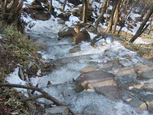 �r�R��������̓o�R���B