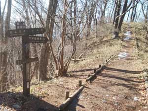 ����W��(�ӂꂠ���\���H)