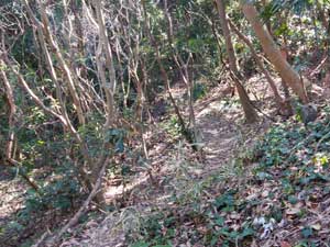 �ΕW�H����o�R���B