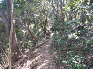 �����ȃs�[�N