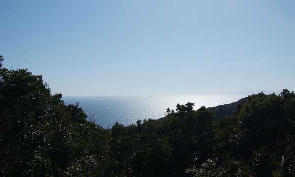 ��R�R������̒���