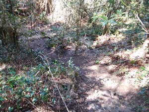 ���R�J�n�`