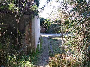 ���h�u�����Y�v