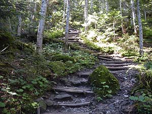 二荒山神社からの登山道