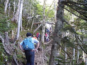 �o�R�q�ň�t