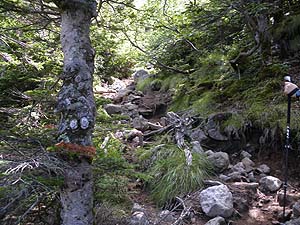 �΂�������