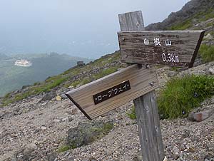 �R���܂�300m