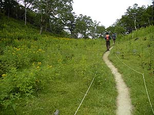 ���F�����ʂ֐i�񂾁B