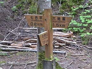 ���̕���