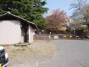 �A�X�t�@���g��