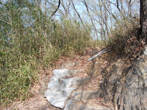 �A�X�t�@���g���͏I�_