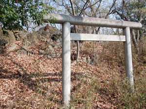 �����R�R��