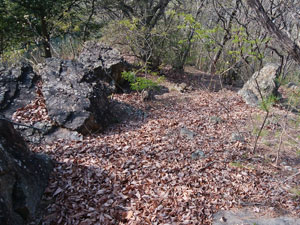 ���R�J�n�`�`