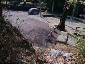 �A�X�t�@���g��