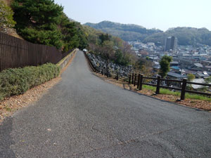 ���ԏꂩ��̓�