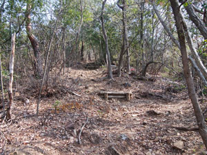 お堂からの登山道