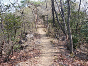 須永山山頂からの登山道