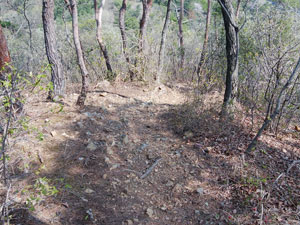 �A���e�i����̓o�R��