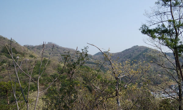 道中からの眺め