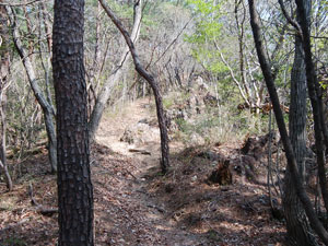 ���򂩂�̓o�R���B