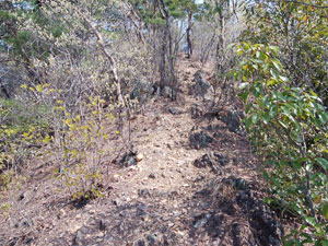 �������������Ԃ���